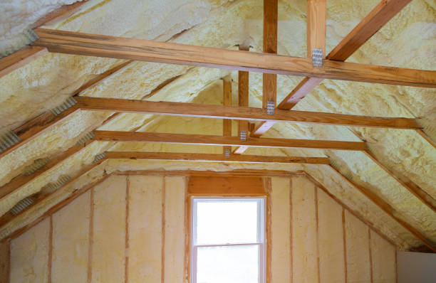 Best Fiberglass Insulation in Leesburg, GA
