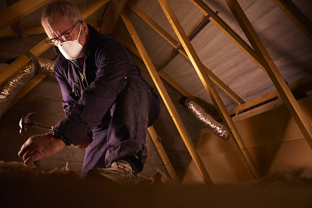 Types of Insulation We Offer in Leesburg, GA