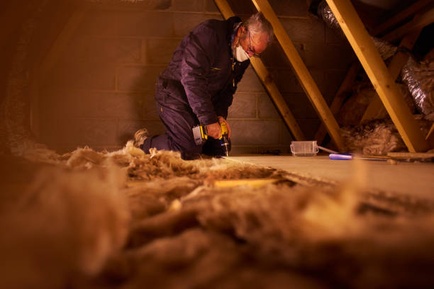Best Eco-Friendly Insulation in Leesburg, GA
